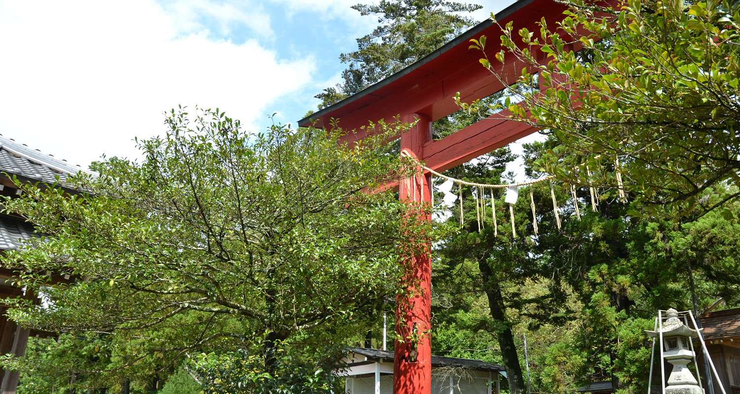 愛知 豊橋 賀茂神社 安産祈願