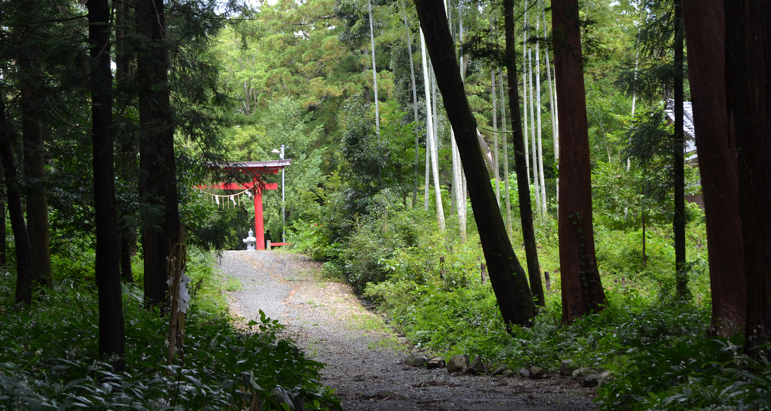 愛知 豊橋 賀茂神社 安産祈願