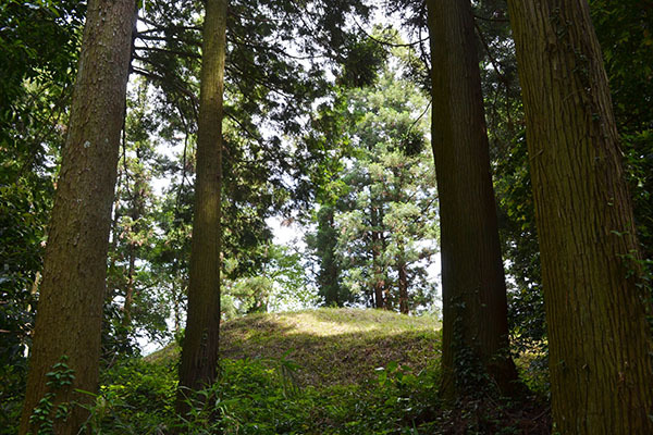 愛知 豊橋 賀茂神社 神山古墳